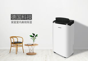 除濕機選購指南 詳解不同模式，找到最適合你的那一款