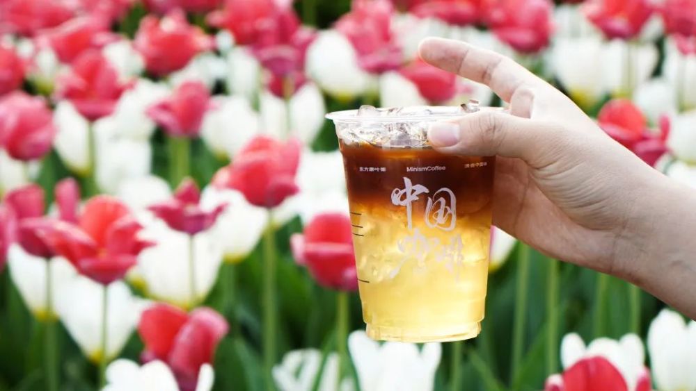 清北學(xué)霸聯(lián)手做咖啡,融資8億,一年開出500家店